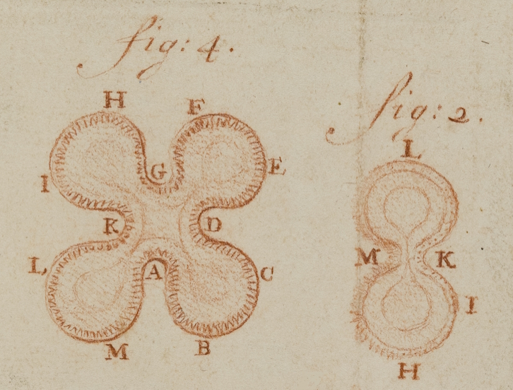 Image Antoni van Leeuwenhoek Conference